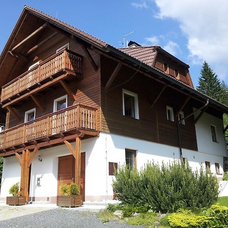 Apartmany Base Camp Zelezna Ruda Exterior photo